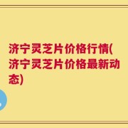 济宁灵芝片价格行情(济宁灵芝片价格最新动态)