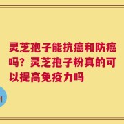 灵芝孢子能抗癌和防癌吗？灵芝孢子粉真的可以提高免疫力吗