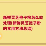 新鲜灵芝孢子粉怎么吃处理(新鲜灵芝孢子粉的食用方法总结)