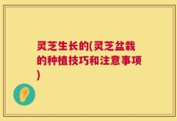 灵芝生长的(灵芝盆栽的种植技巧和注意事项)