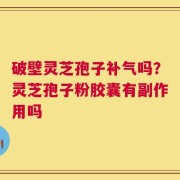 破壁灵芝孢子补气吗？灵芝孢子粉胶囊有副作用吗
