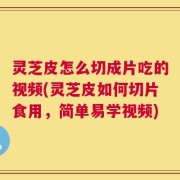 灵芝皮怎么切成片吃的视频(灵芝皮如何切片食用，简单易学视频)