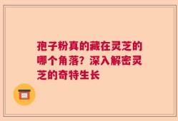 孢子粉真的藏在灵芝的哪个角落？深入解密灵芝的奇特生长