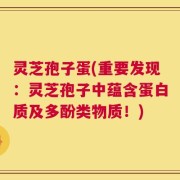 灵芝孢子蛋(重要发现：灵芝孢子中蕴含蛋白质及多酚类物质！)
