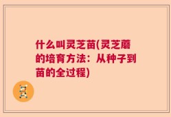 什么叫灵芝苗(灵芝蘑的培育方法：从种子到苗的全过程)