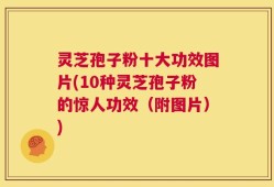 灵芝孢子粉十大功效图片(10种灵芝孢子粉的惊人功效（附图片）)