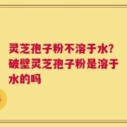 灵芝孢子粉不溶于水？破壁灵芝孢子粉是溶于水的吗
