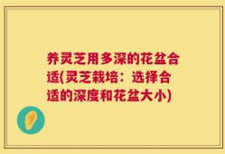 养灵芝用多深的花盆合适(灵芝栽培：选择合适的深度和花盆大小)