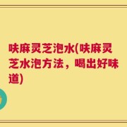 呋麻灵芝泡水(呋麻灵芝水泡方法，喝出好味道)