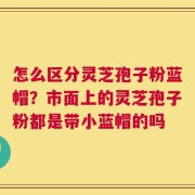 怎么区分灵芝孢子粉蓝帽？市面上的灵芝孢子粉都是带小蓝帽的吗