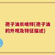 孢子油长啥样(孢子油的外观及特征描述)
