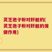 灵芝孢子粉对肝脏的(灵芝孢子粉对肝脏的保健作用)