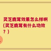灵芝鹿茸效果怎么样啊(灵芝鹿茸有什么功效？)