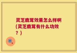 灵芝鹿茸效果怎么样啊(灵芝鹿茸有什么功效？)