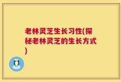 老林灵芝生长习性(探秘老林灵芝的生长方式)