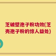 芝破壁孢子粉功效(芝壳孢子粉的惊人益处)