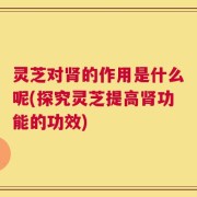 灵芝对肾的作用是什么呢(探究灵芝提高肾功能的功效)