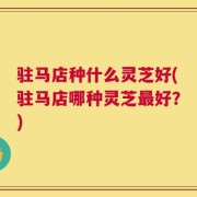 驻马店种什么灵芝好(驻马店哪种灵芝最好？)