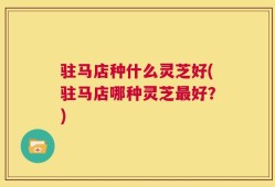 驻马店种什么灵芝好(驻马店哪种灵芝最好？)