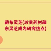 藏东灵芝(珍贵药材藏东灵芝成为研究热点)