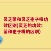 灵芝菌和灵芝孢子粉功效区别(灵芝的功效：菌和孢子粉的区别)