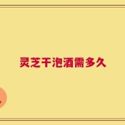 灵芝干泡酒需多久