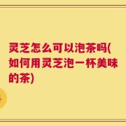 灵芝怎么可以泡茶吗(如何用灵芝泡一杯美味的茶)