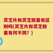 灵芝片和灵芝胶囊有区别吗(灵芝片和灵芝胶囊有何不同？)