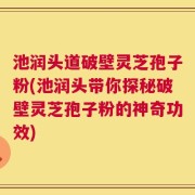 池润头道破壁灵芝孢子粉(池润头带你探秘破壁灵芝孢子粉的神奇功效)