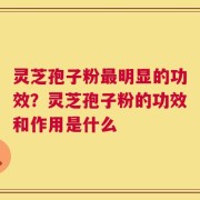 灵芝孢子粉最明显的功效？灵芝孢子粉的功效和作用是什么