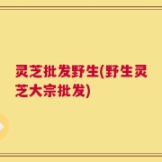 灵芝批发野生(野生灵芝大宗批发)