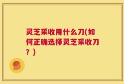 灵芝采收用什么刀(如何正确选择灵芝采收刀？)