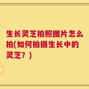 生长灵芝拍照图片怎么拍(如何拍摄生长中的灵芝？)
