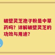 破壁灵芝孢子粉是中草药吗？详解破壁灵芝的功效与用途？