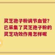 灵芝孢子粉调节血管？已采集了灵芝孢子粉的灵芝功效作用怎样呢