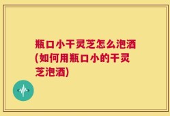 瓶口小干灵芝怎么泡酒(如何用瓶口小的干灵芝泡酒)