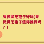 粤微灵芝孢子好吗(粤微灵芝孢子值得推荐吗？)