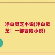 净白灵芝小说(净白灵芝：一部冒险小说)