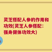 灵芝搭配人参的作用和功效(灵芝人参搭配：强身健体功效大)