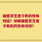 破壁灵芝孢子粉的性味归经？详解破壁灵芝孢子粉的药性和功效？