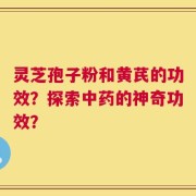 灵芝孢子粉和黄芪的功效？探索中药的神奇功效？