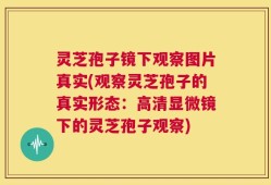 灵芝孢子镜下观察图片真实(观察灵芝孢子的真实形态：高清显微镜下的灵芝孢子观察)