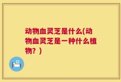 动物血灵芝是什么(动物血灵芝是一种什么植物？)
