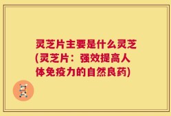 灵芝片主要是什么灵芝(灵芝片：强效提高人体免疫力的自然良药)