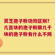 灵芝孢子粉功效区别？几百块的孢子粉跟几千块的孢子粉有什么不同