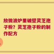 放微波炉里破壁灵芝孢子粉？灵芝孢子粉的制作配方