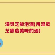 湿灵芝能泡酒(用湿灵芝酿造美味的酒)