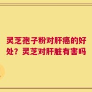 灵芝孢子粉对肝癌的好处？灵芝对肝脏有害吗