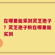 在哪里能采到灵芝孢子？灵芝孢子粉在哪里能买到