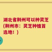 湖北省荆州可以种灵芝(荆州市：灵芝种植首选地！)